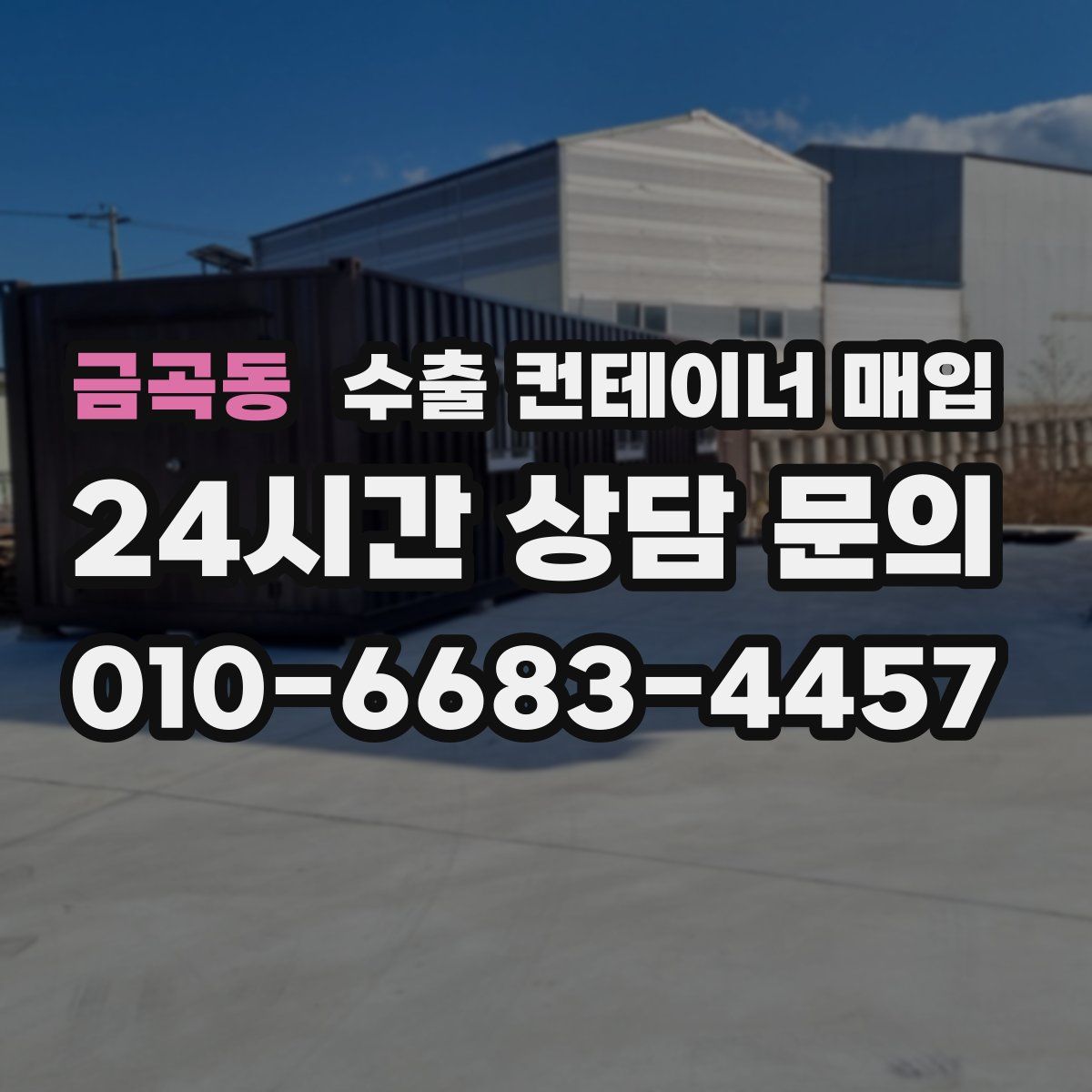 금곡동 수출 컨테이너 매입