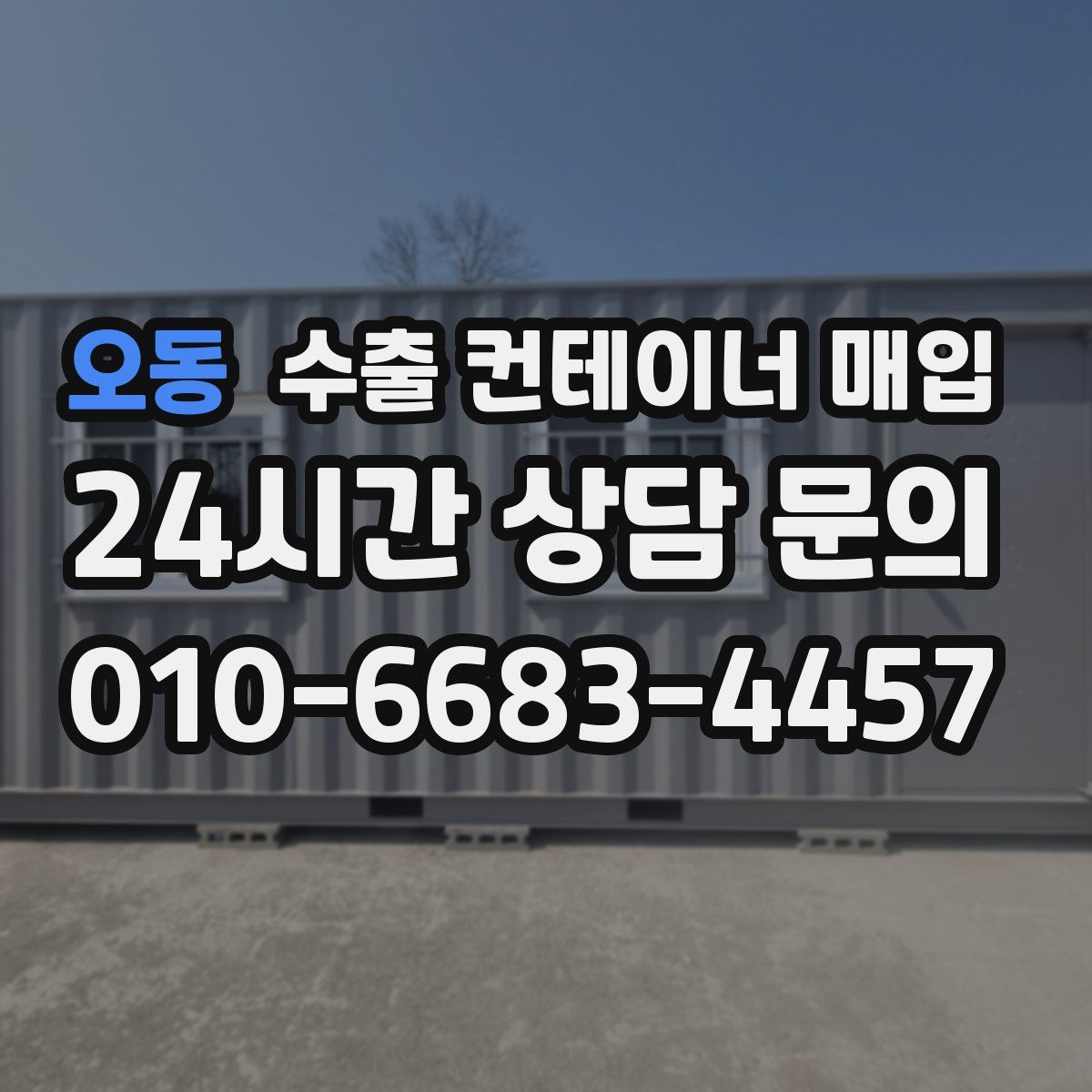 오동 수출 컨테이너 매입