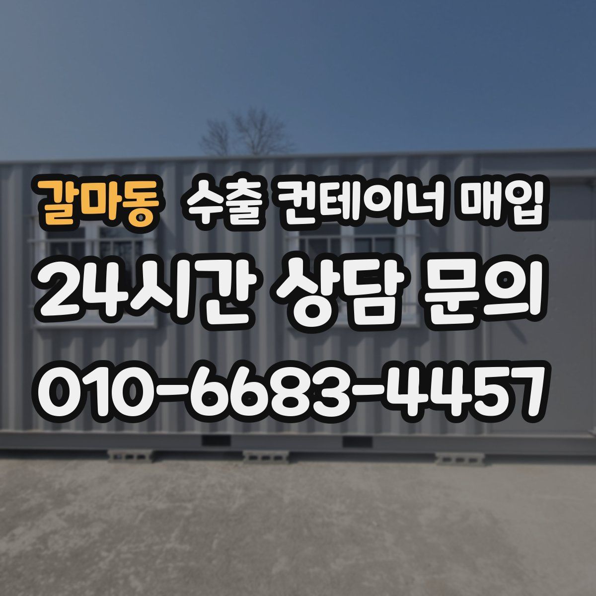 갈마동 수출 컨테이너 매입