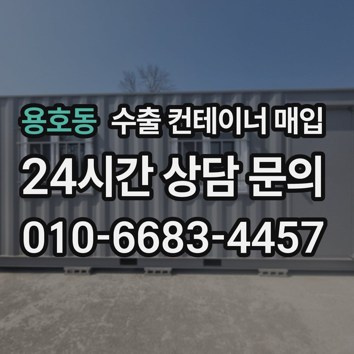 용호동 수출 컨테이너 매입