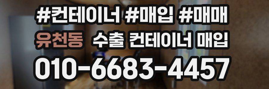 유천동 수출 컨테이너 매입