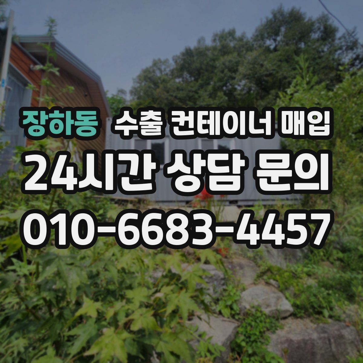 장하동 수출 컨테이너 매입