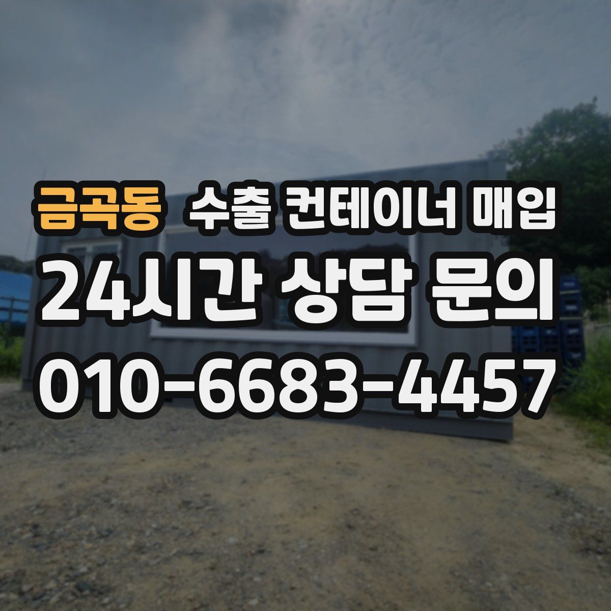 금곡동 수출 컨테이너 매입