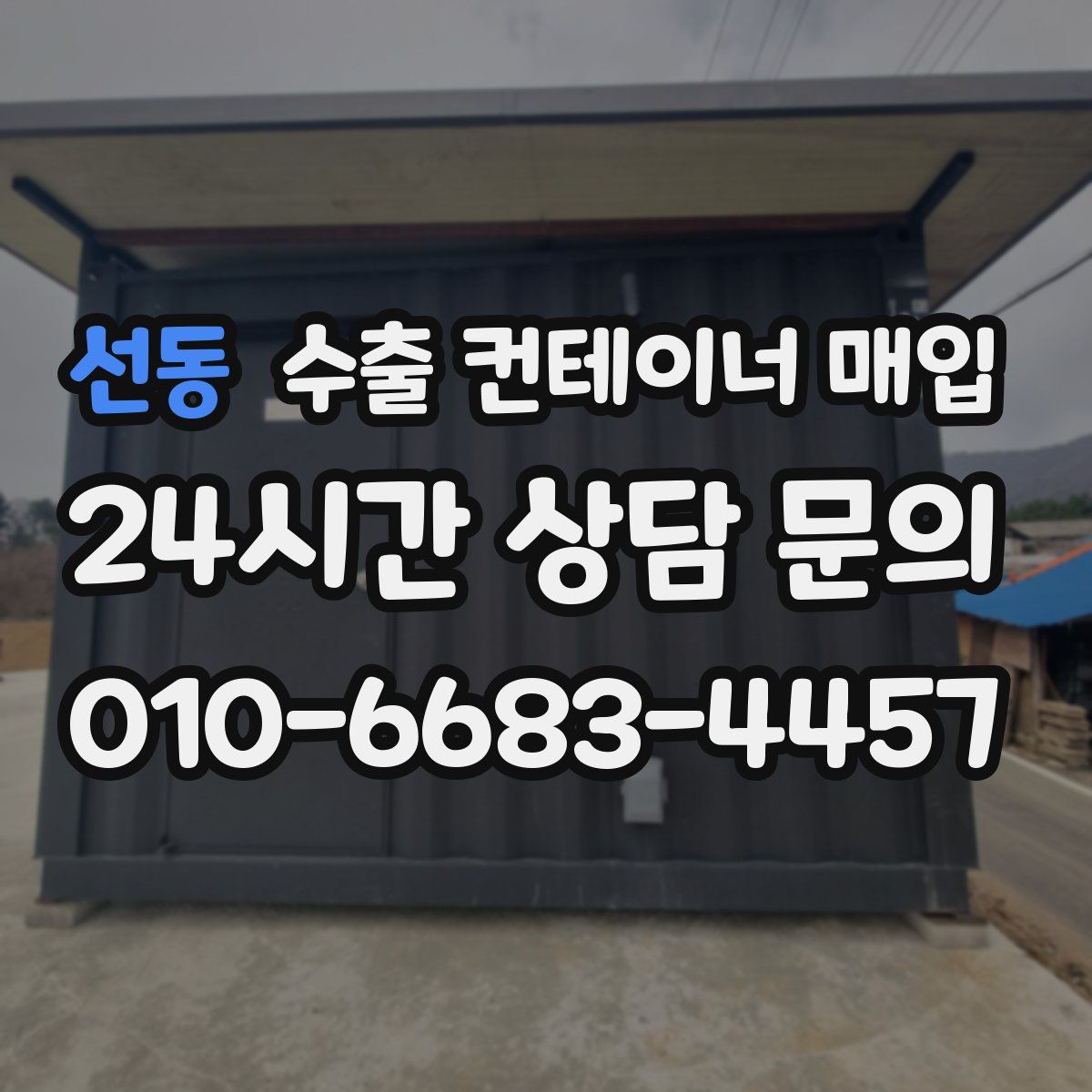 선동 수출 컨테이너 매입