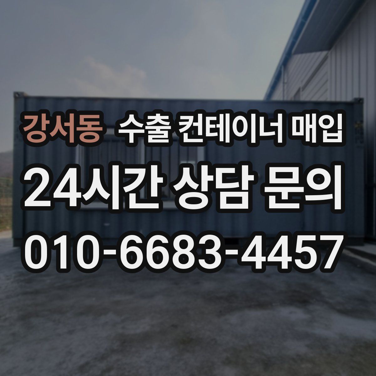강서동 수출 컨테이너 매입