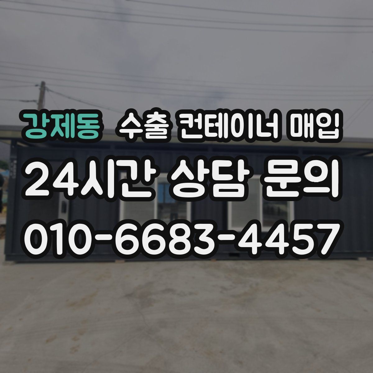 강제동 수출 컨테이너 매입