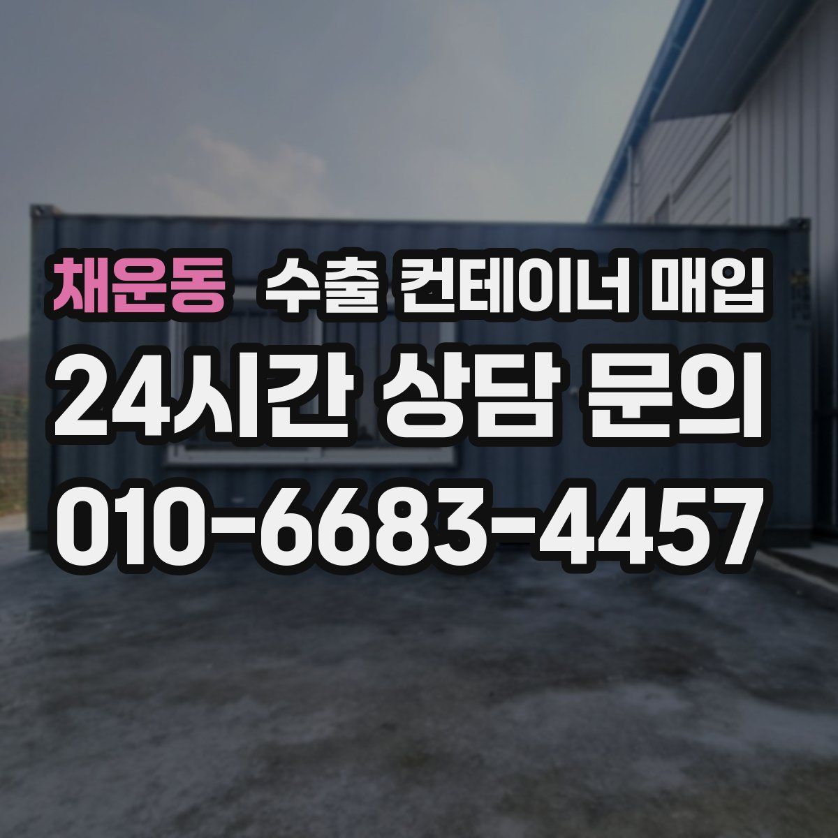 채운동 수출 컨테이너 매입