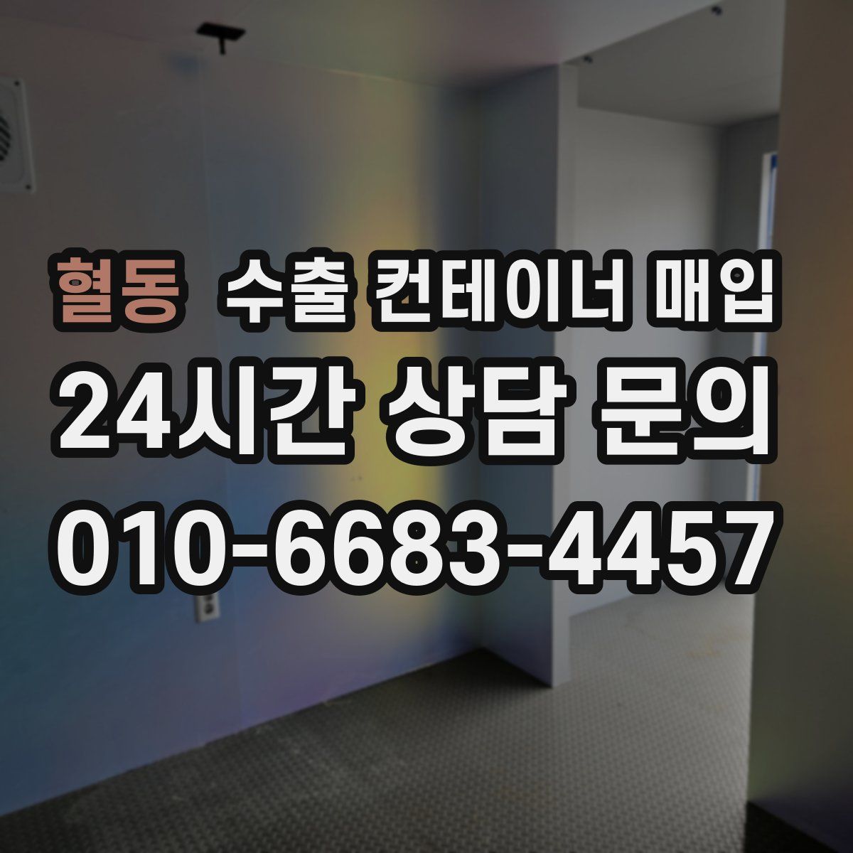 혈동 수출 컨테이너 매입
