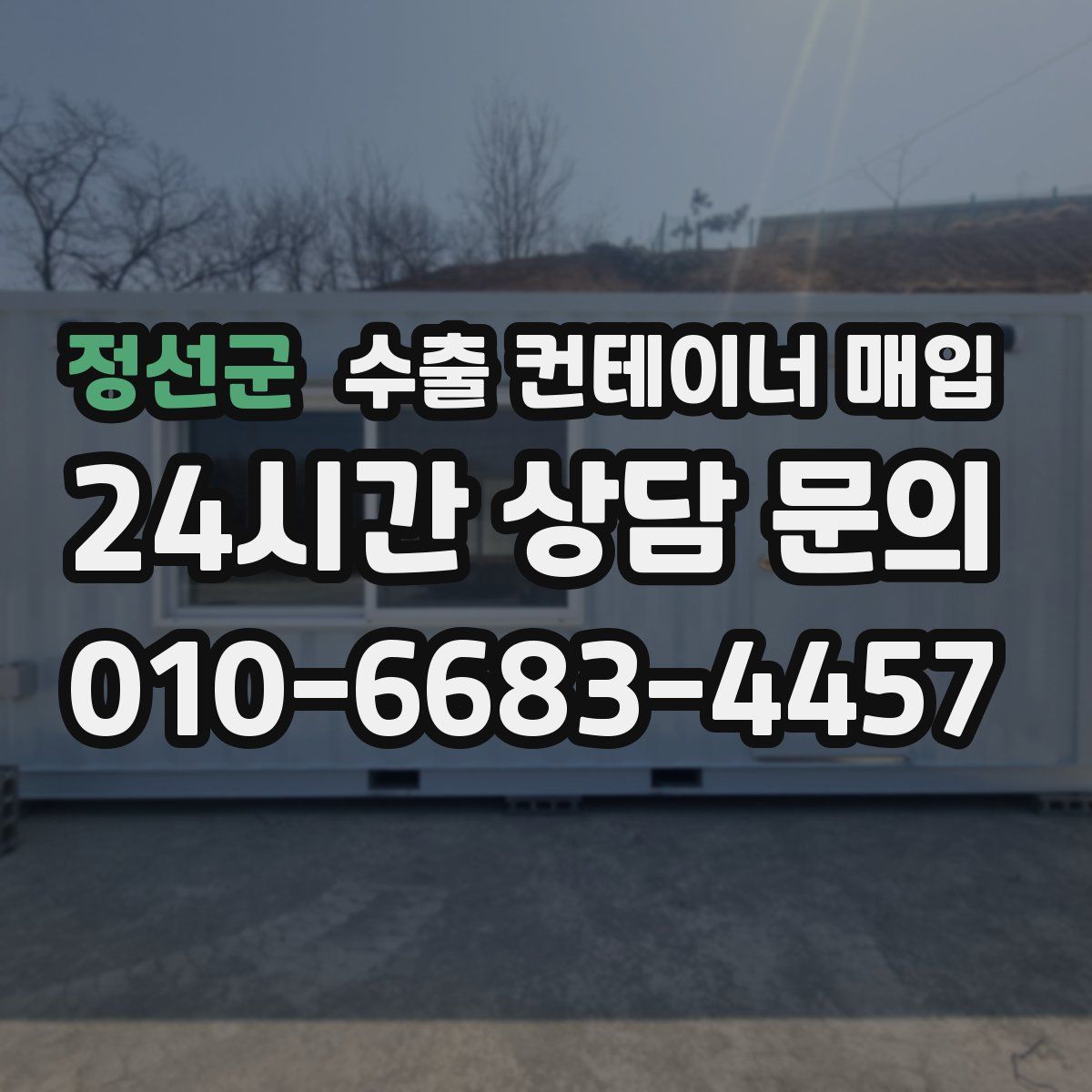 정선군 수출 컨테이너 매입