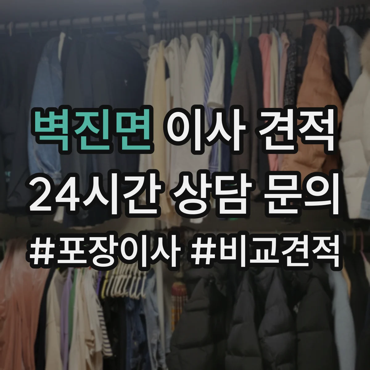 벽진면 이사 견적