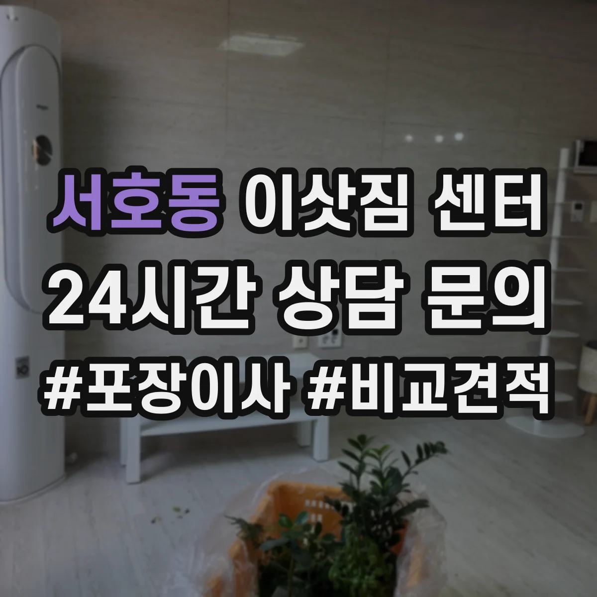 서호동 이삿짐 센터