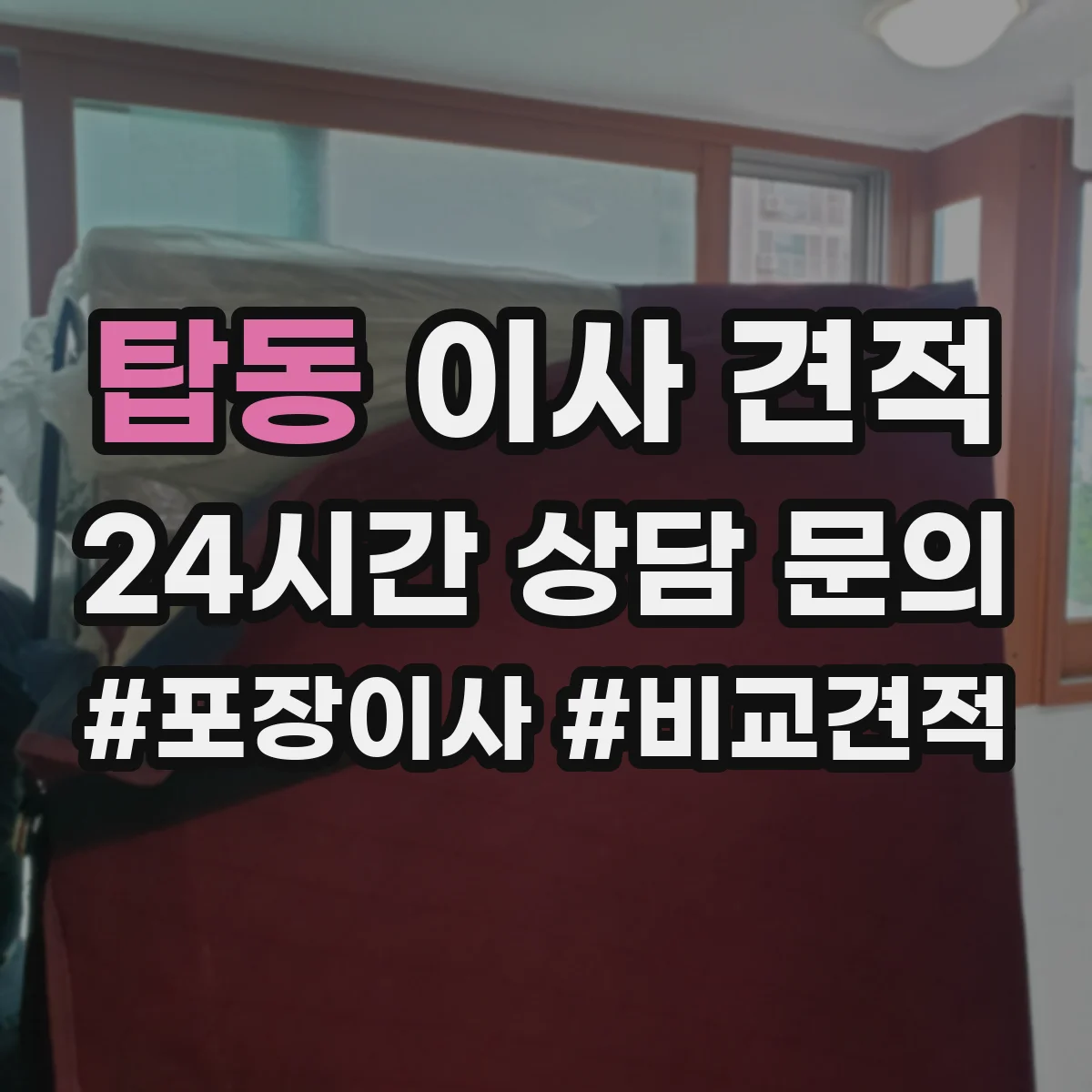 탑동 이사 견적