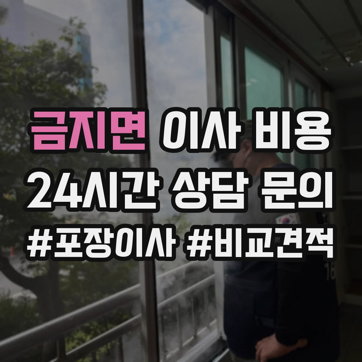 금지면 이사 비용