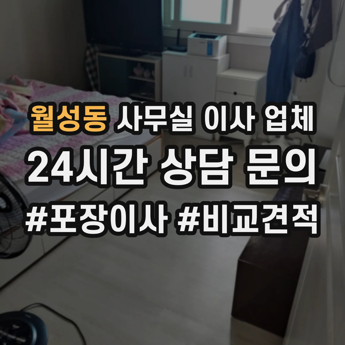 월성동 사무실 이사 업체