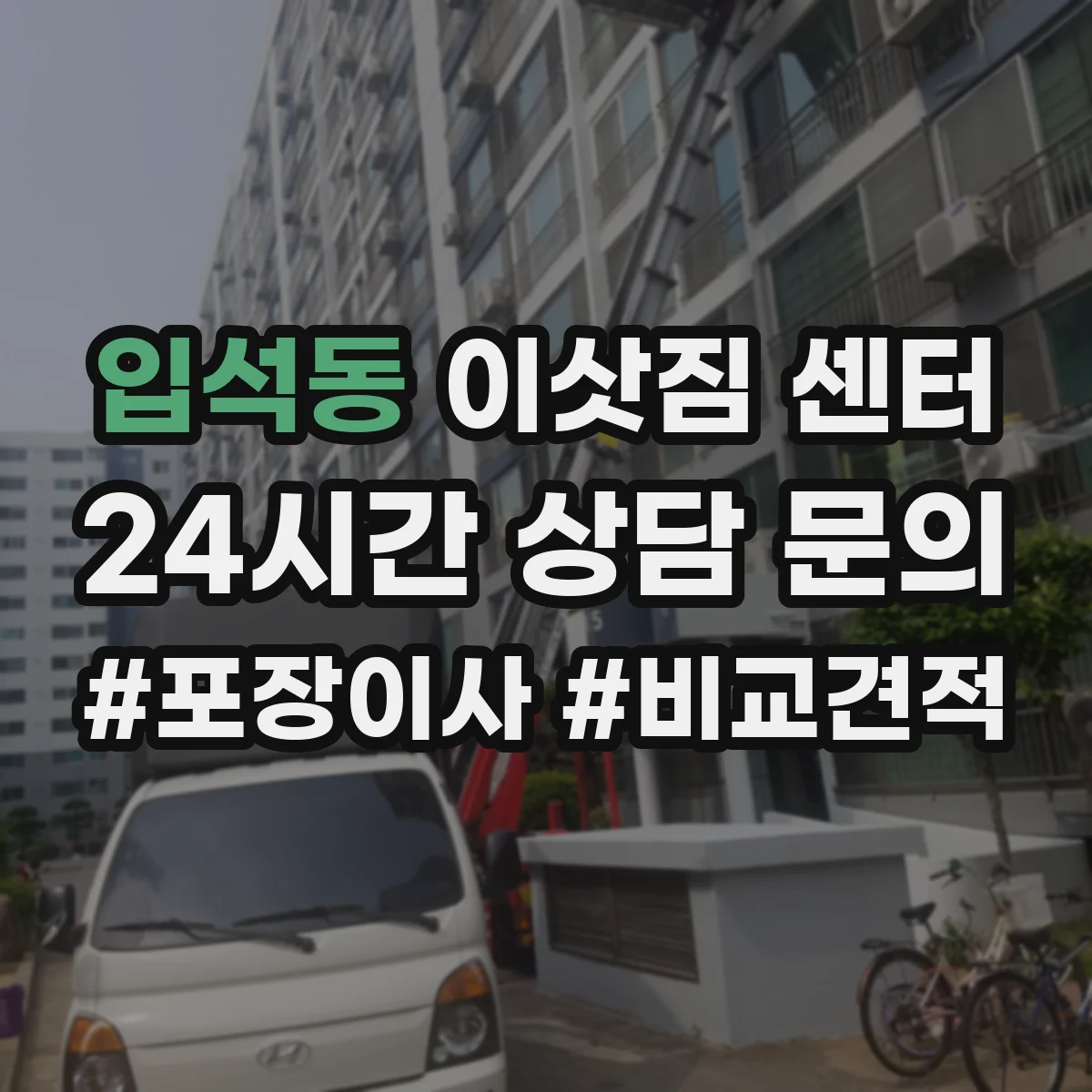 입석동 이삿짐 센터 장거리 이사에서도 반려동물 휴식 동선 운영