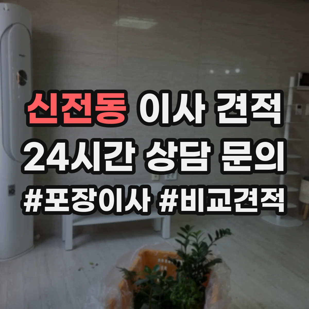 신전동 이사 견적