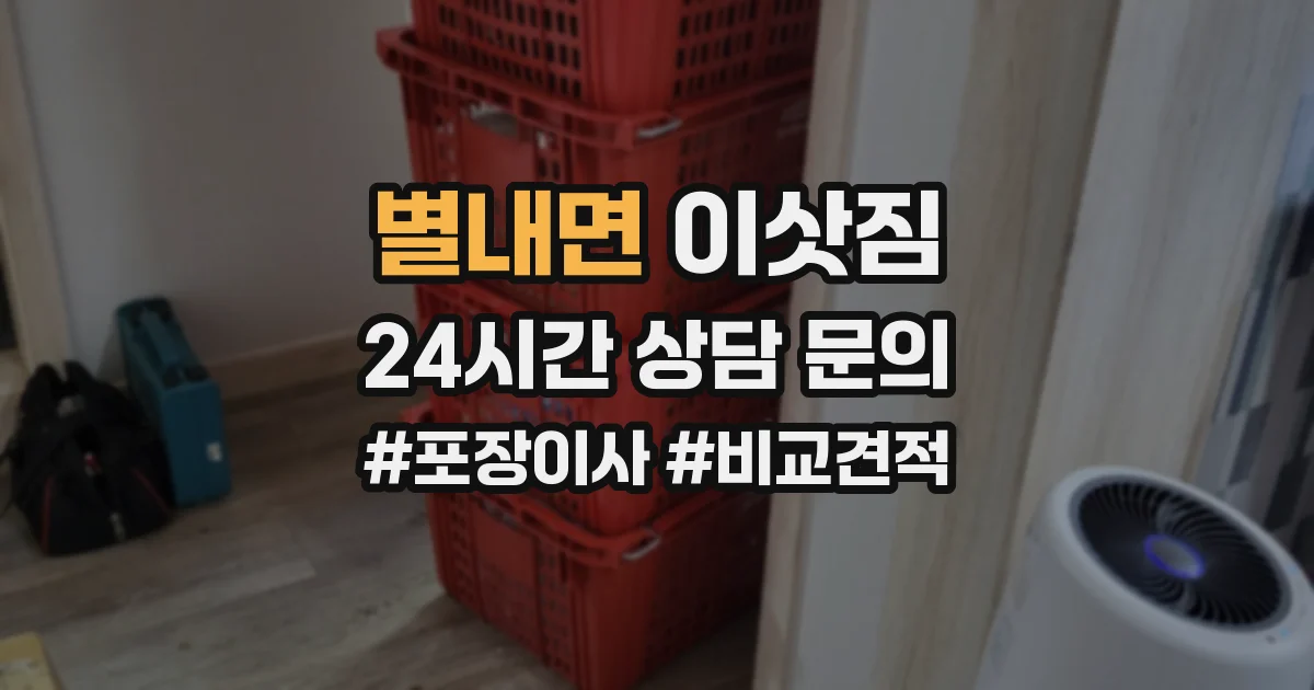 별내면 이삿짐