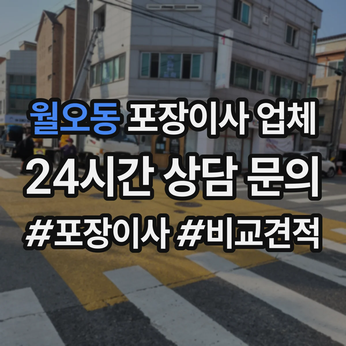 월오동 포장이사 업체