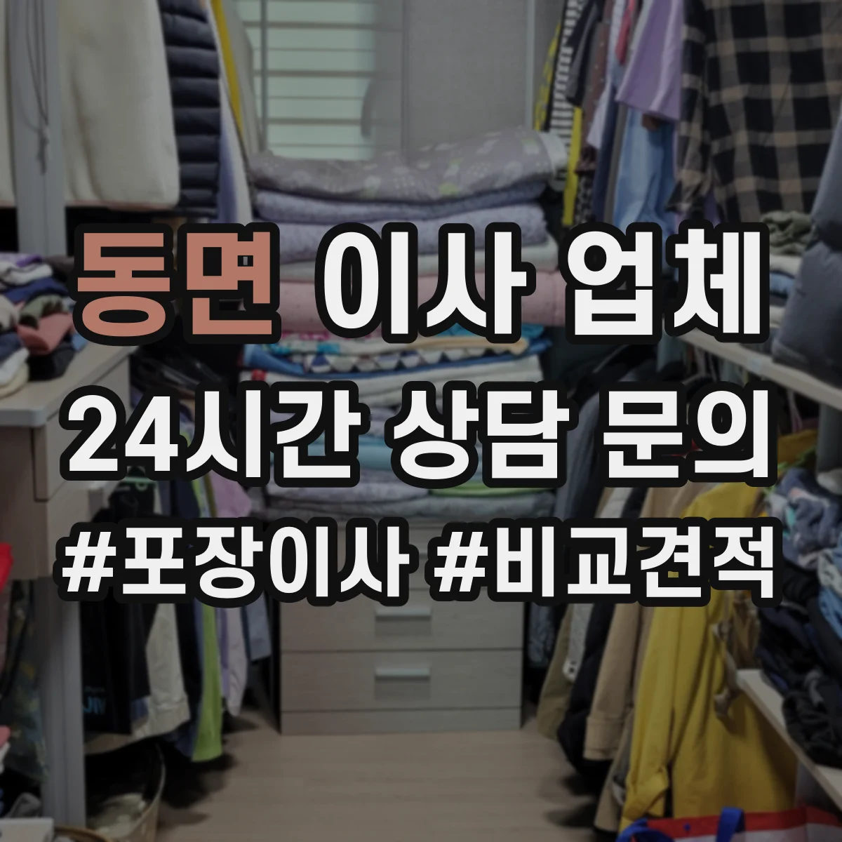 동면 이사 업체