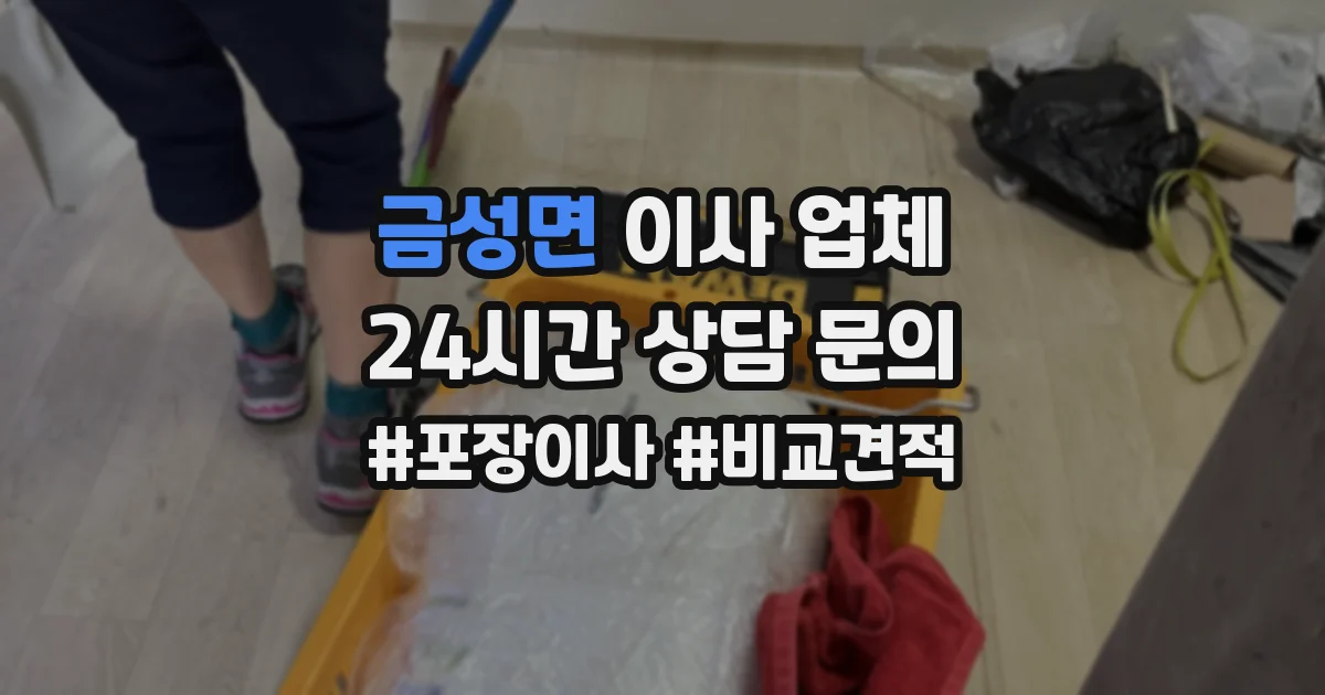 금성면 이사 업체