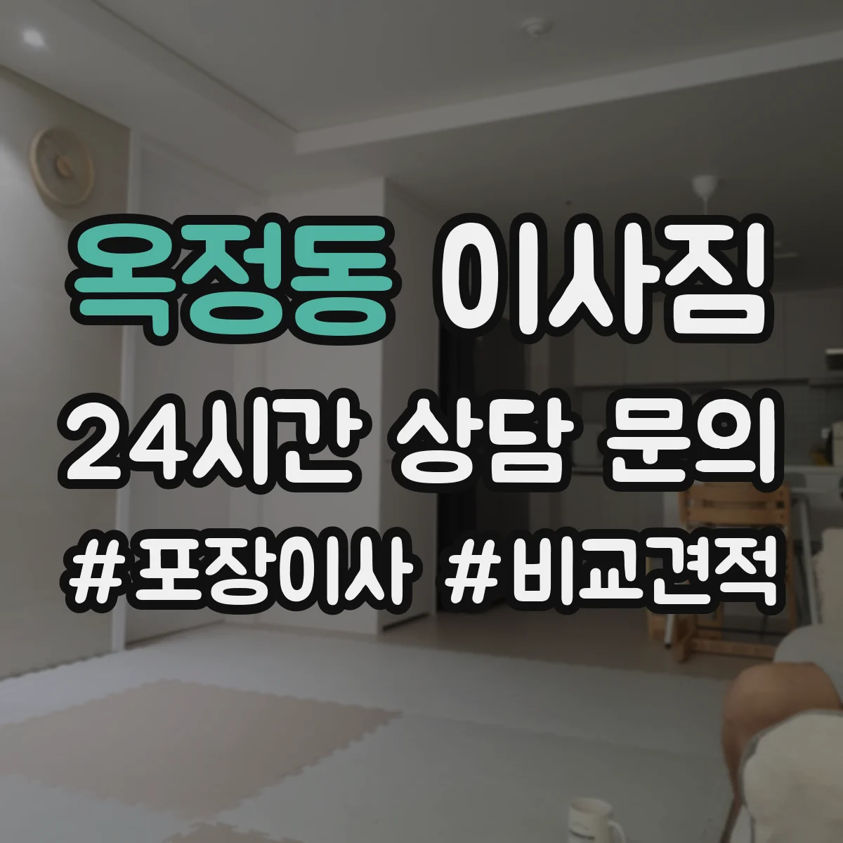 옥정동 이사짐