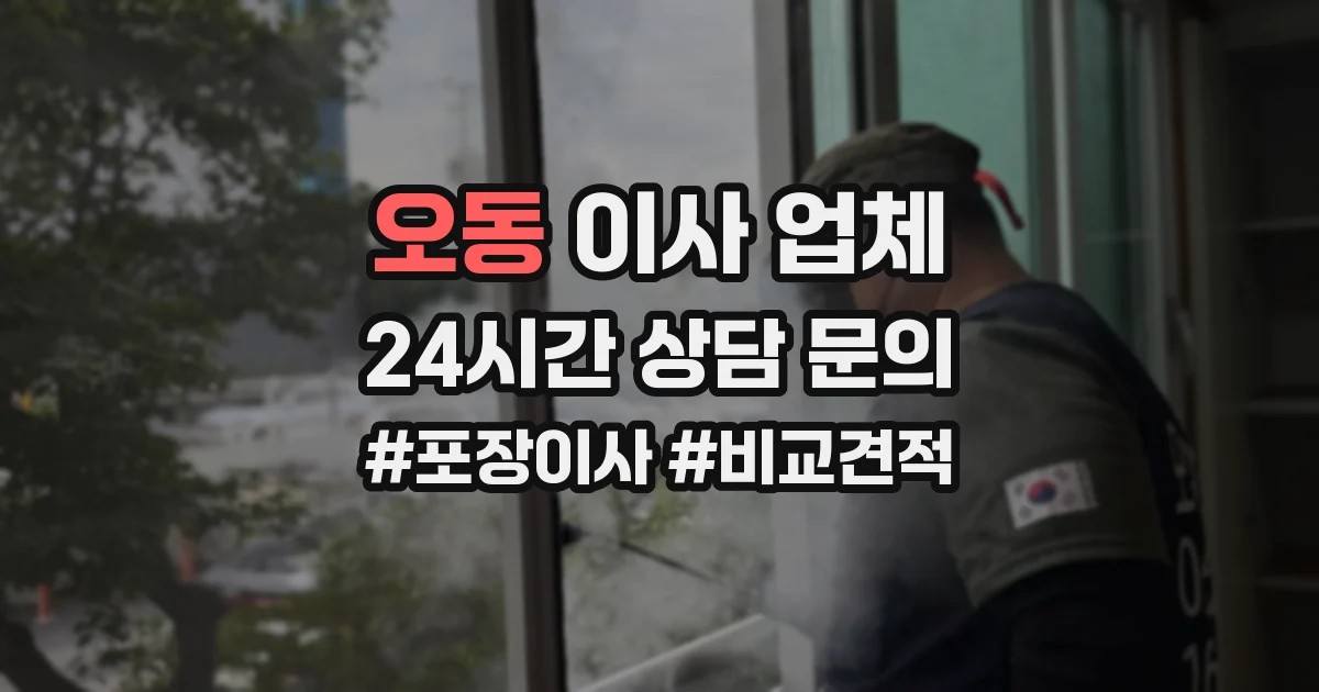 오동 이사 업체