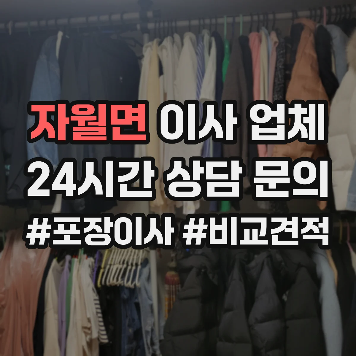 자월면 이사 업체