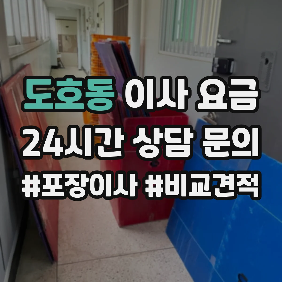 도호동 이사 요금