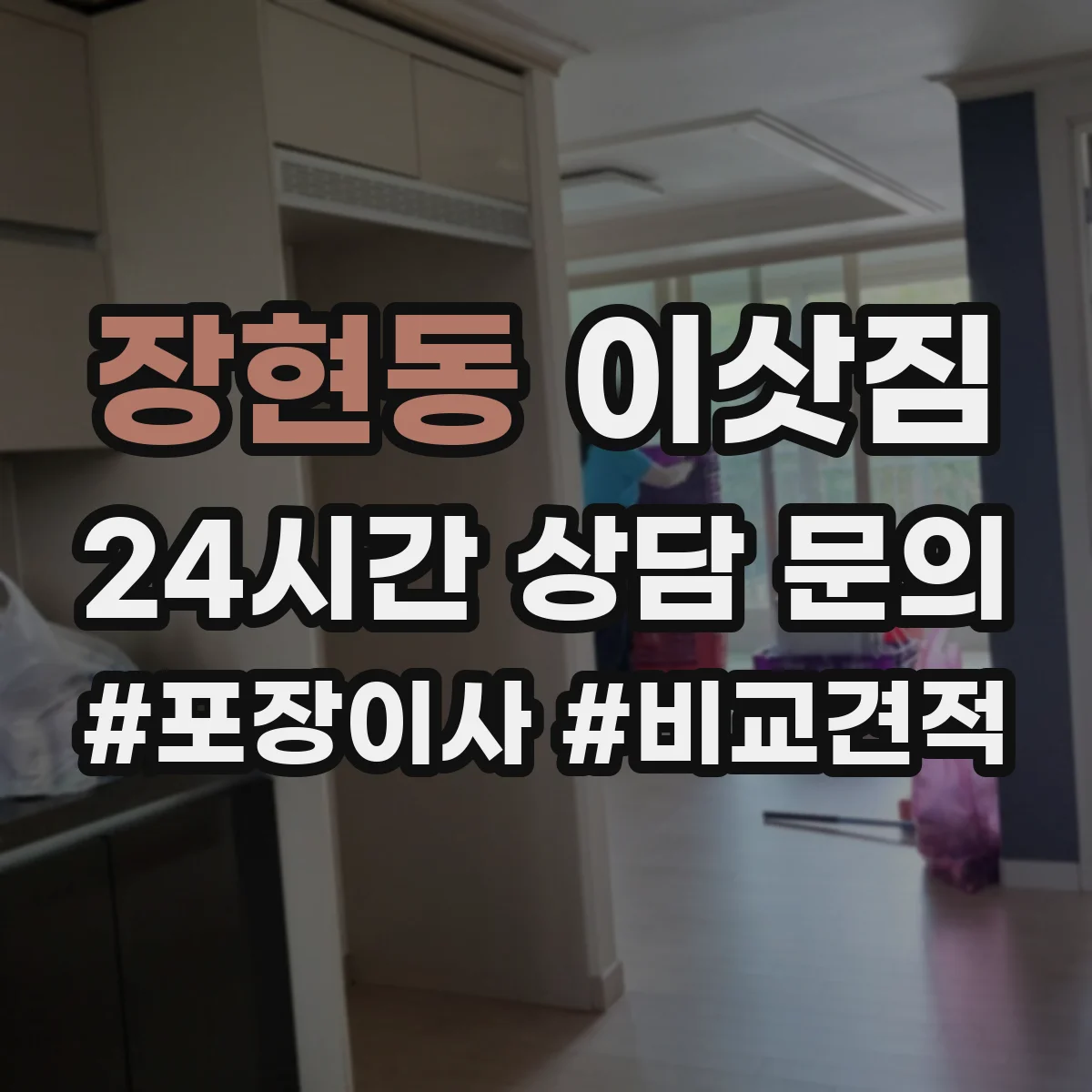 장현동 이삿짐