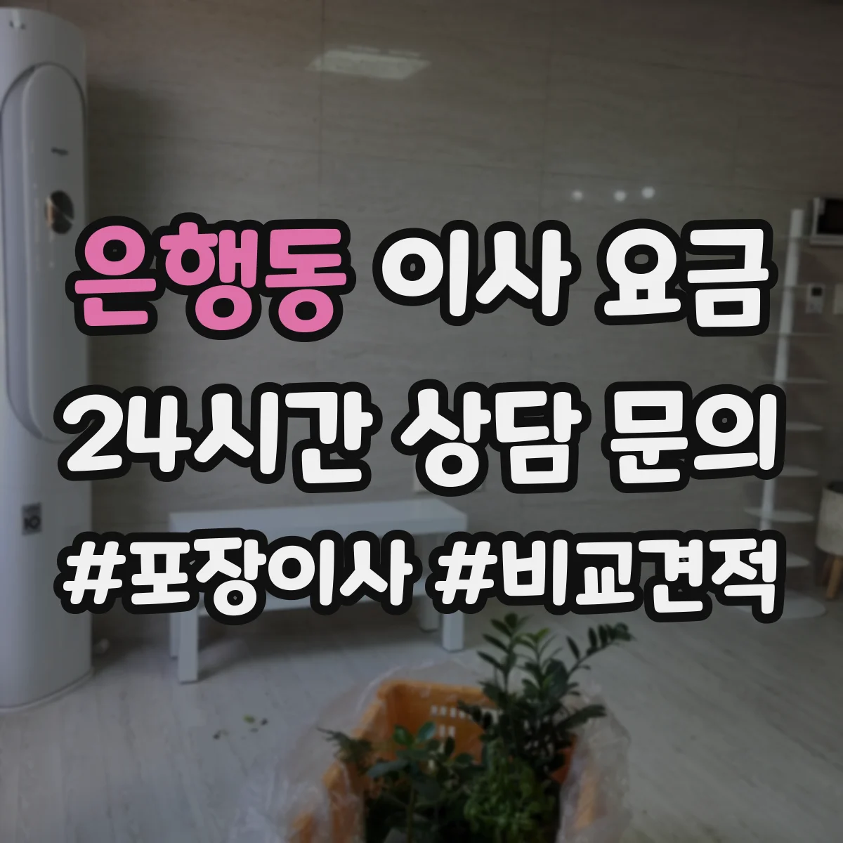 은행동 이사 요금