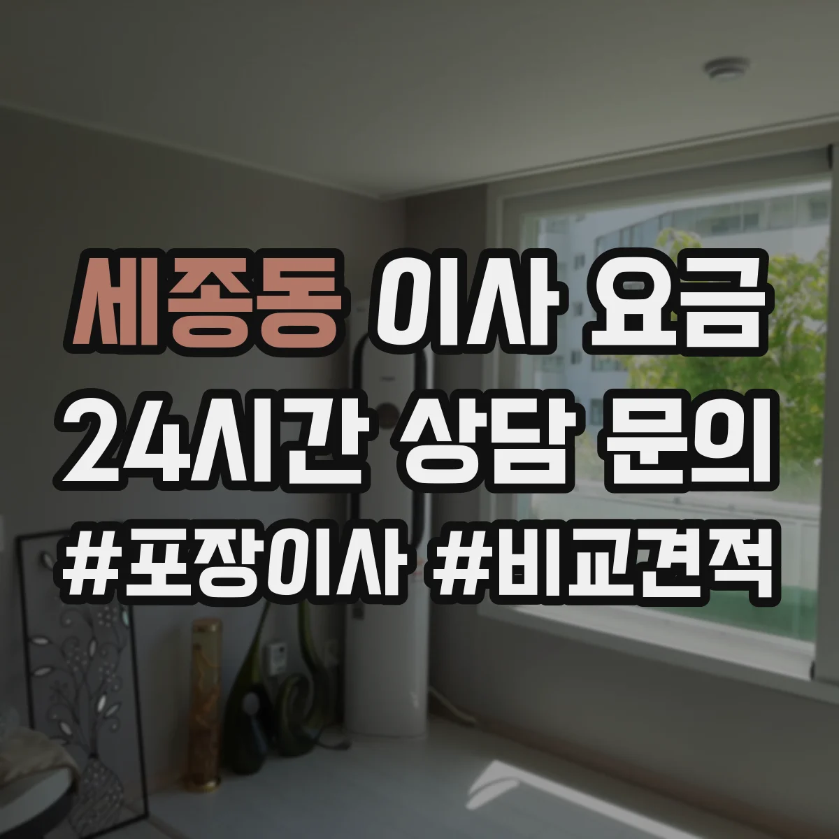 세종동 이사 요금