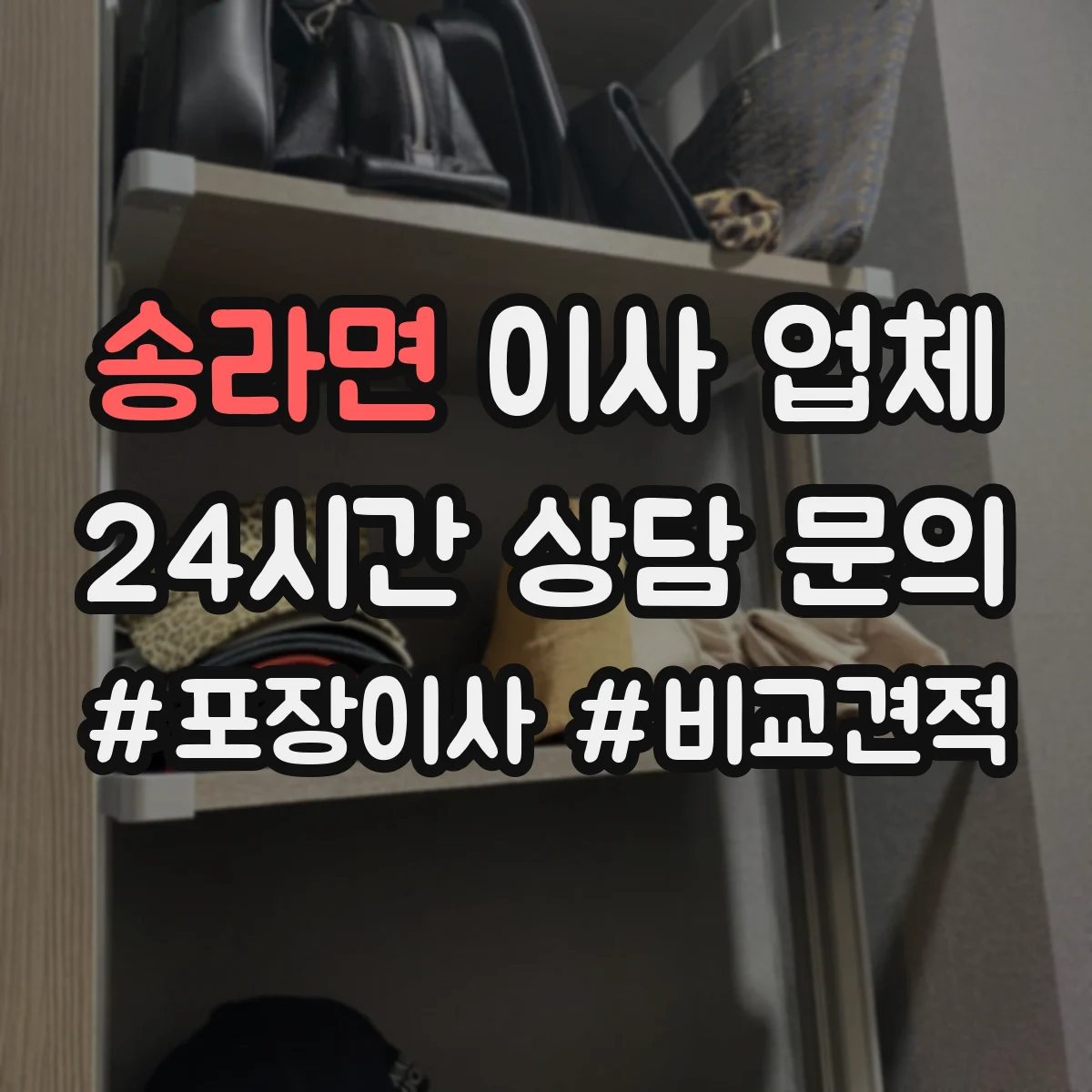 송라면 이사 업체