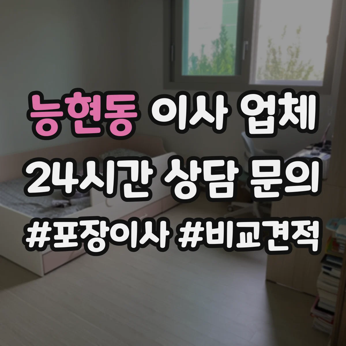 능현동 이사 업체