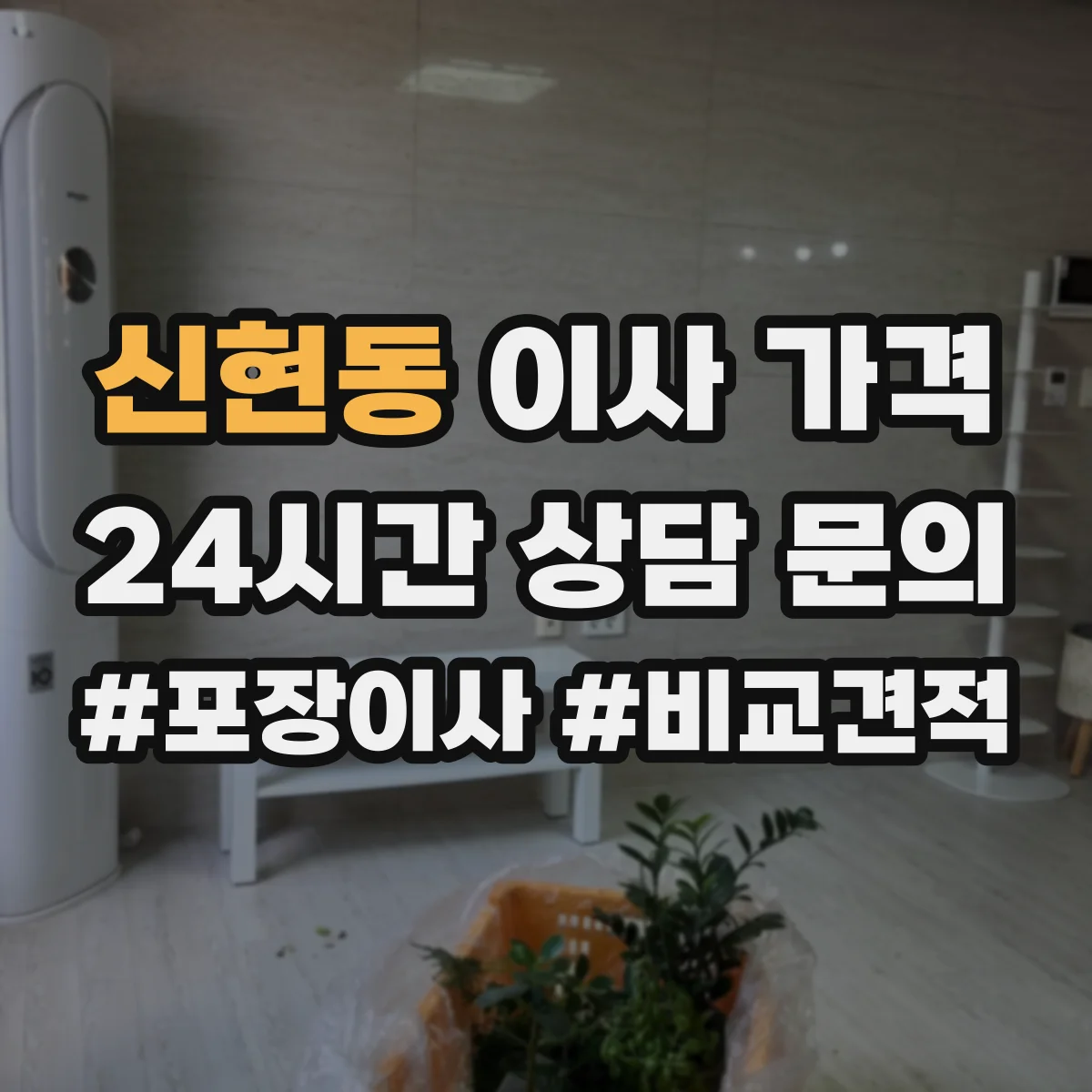 신현동 이사 가격