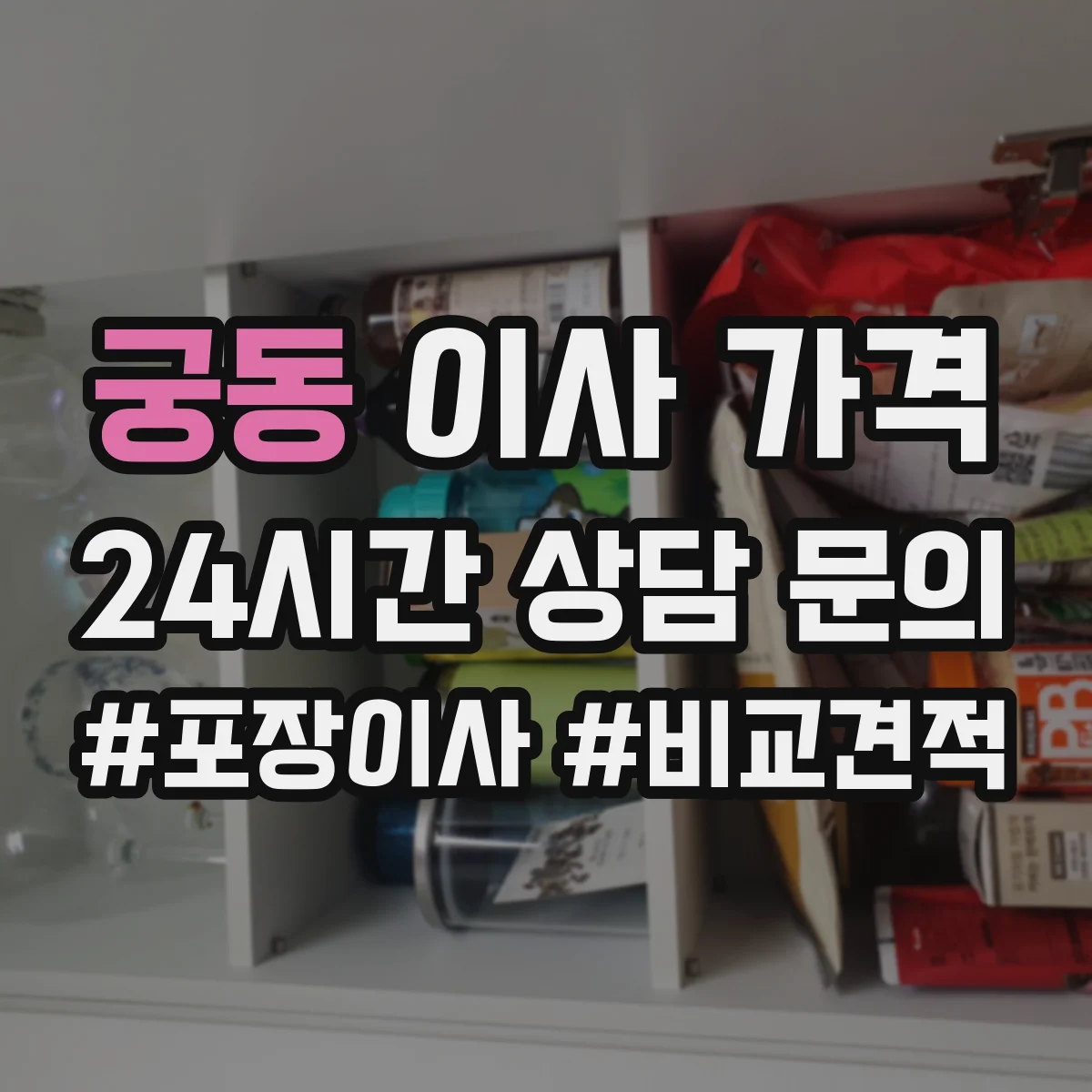 궁동 이사 가격