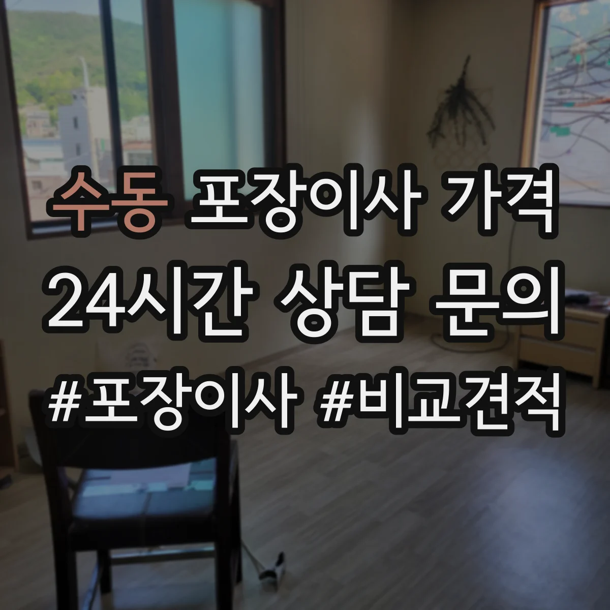 수동 포장이사 가격