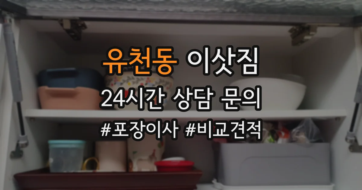 유천동 이삿짐