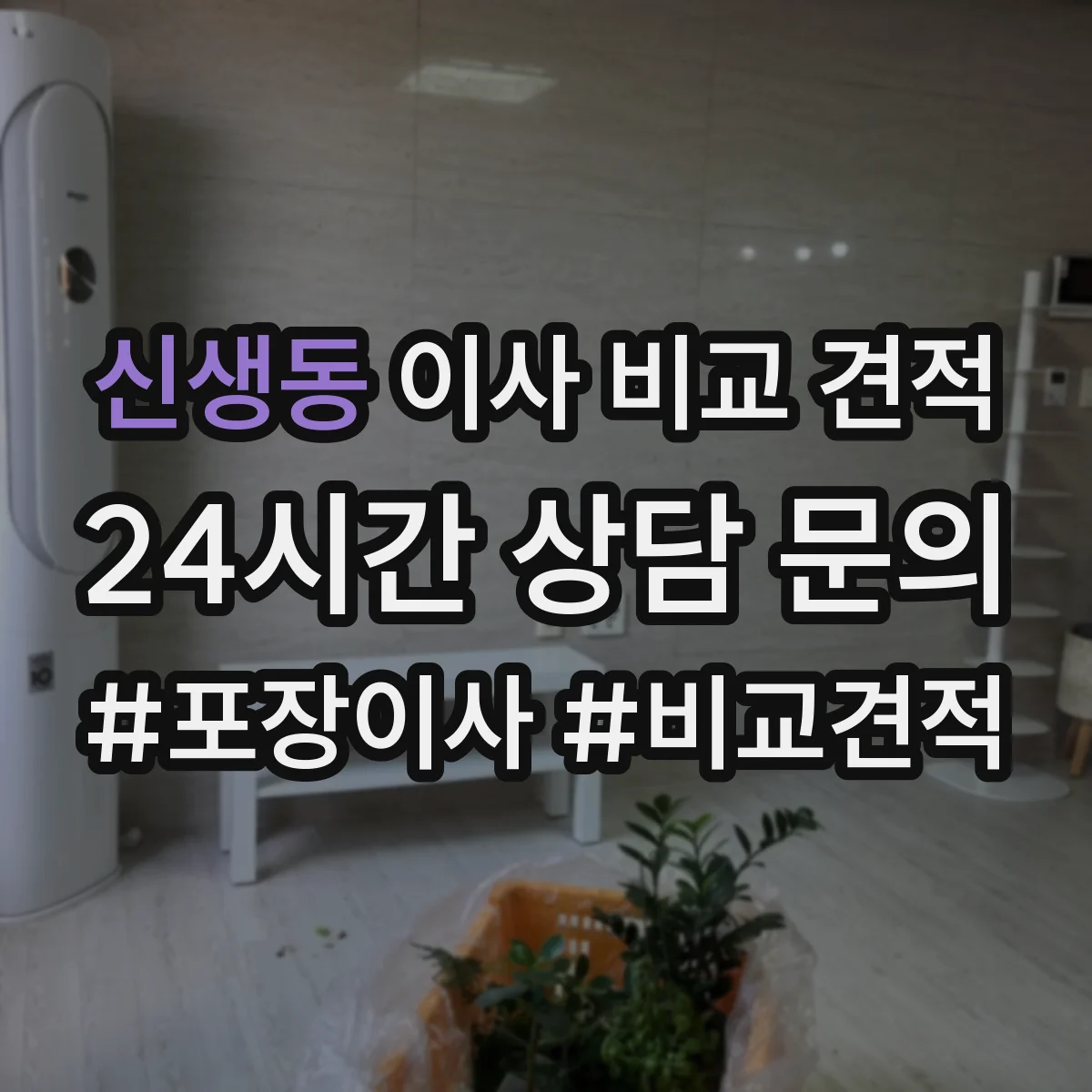 신생동 이사 비교 견적