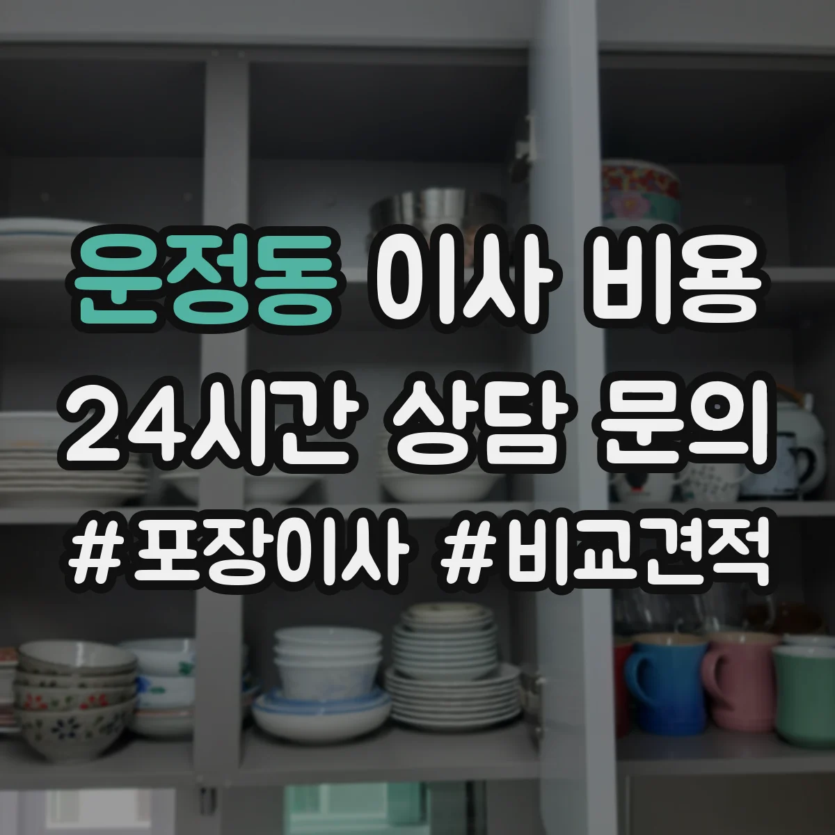 운정동 이사 비용
