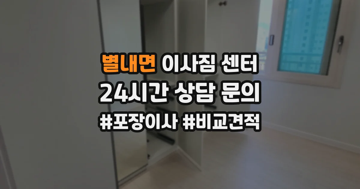 별내면 이사짐 센터