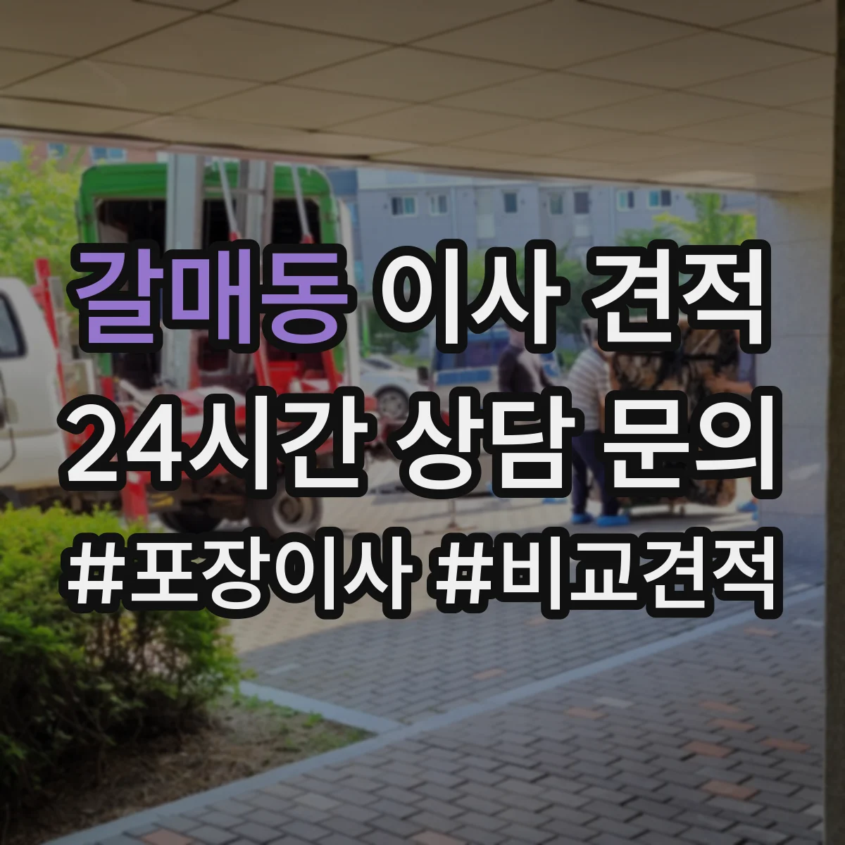 갈매동 이사 견적