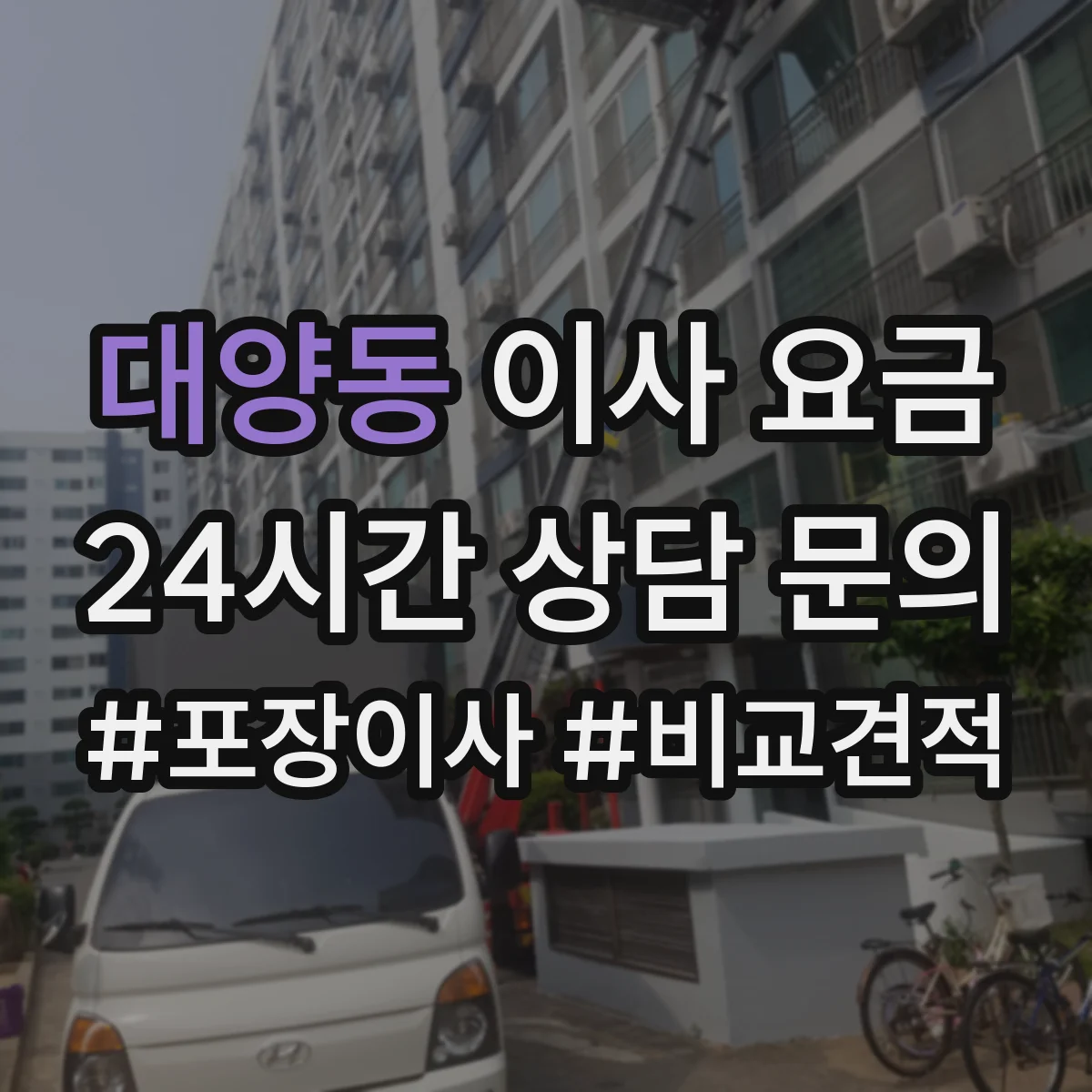 대양동 이사 요금