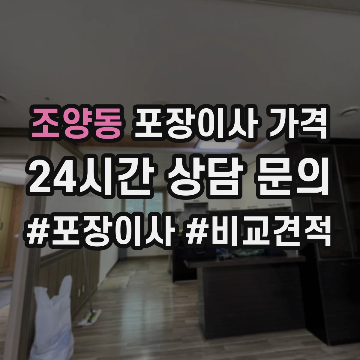 조양동 포장이사 가격