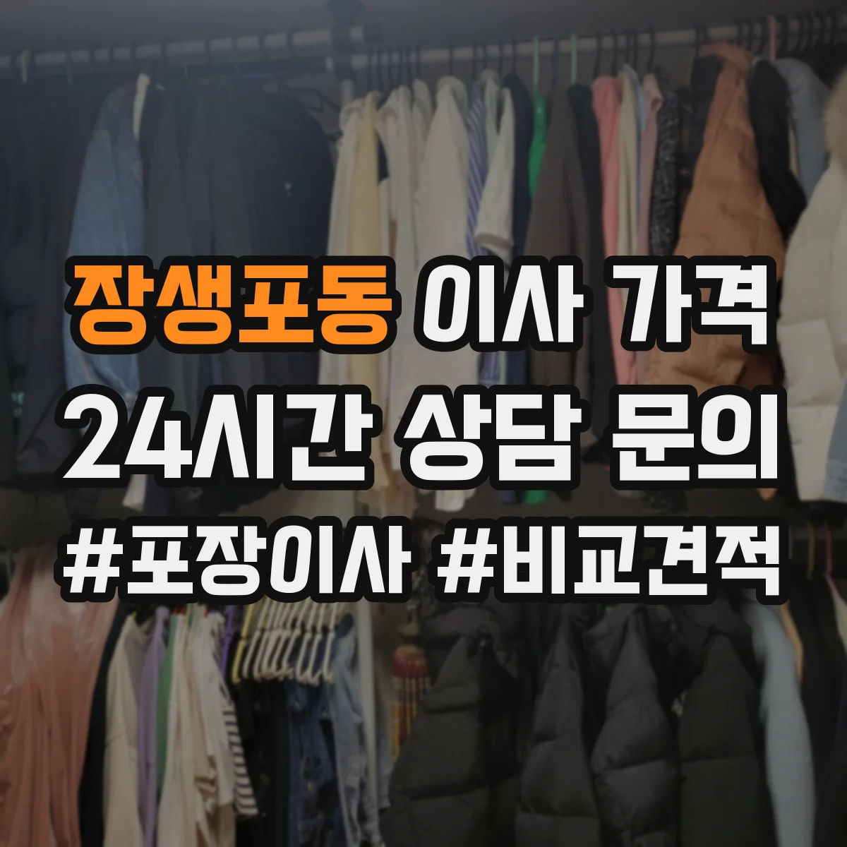 장생포동 이사 가격