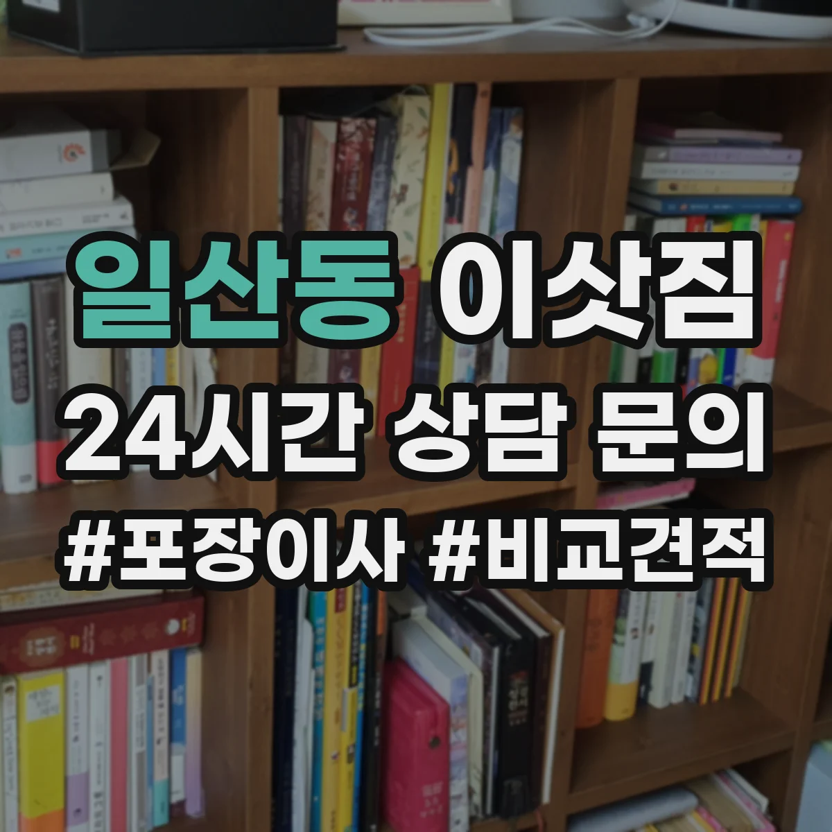 일산동 이삿짐