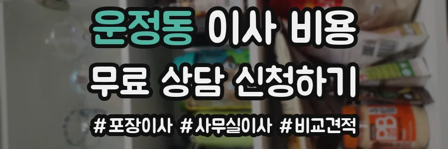 운정동 이사 비용