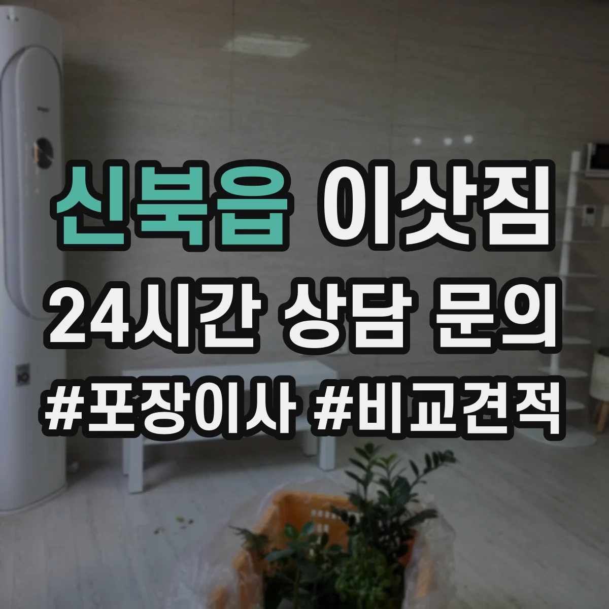 신북읍 이삿짐