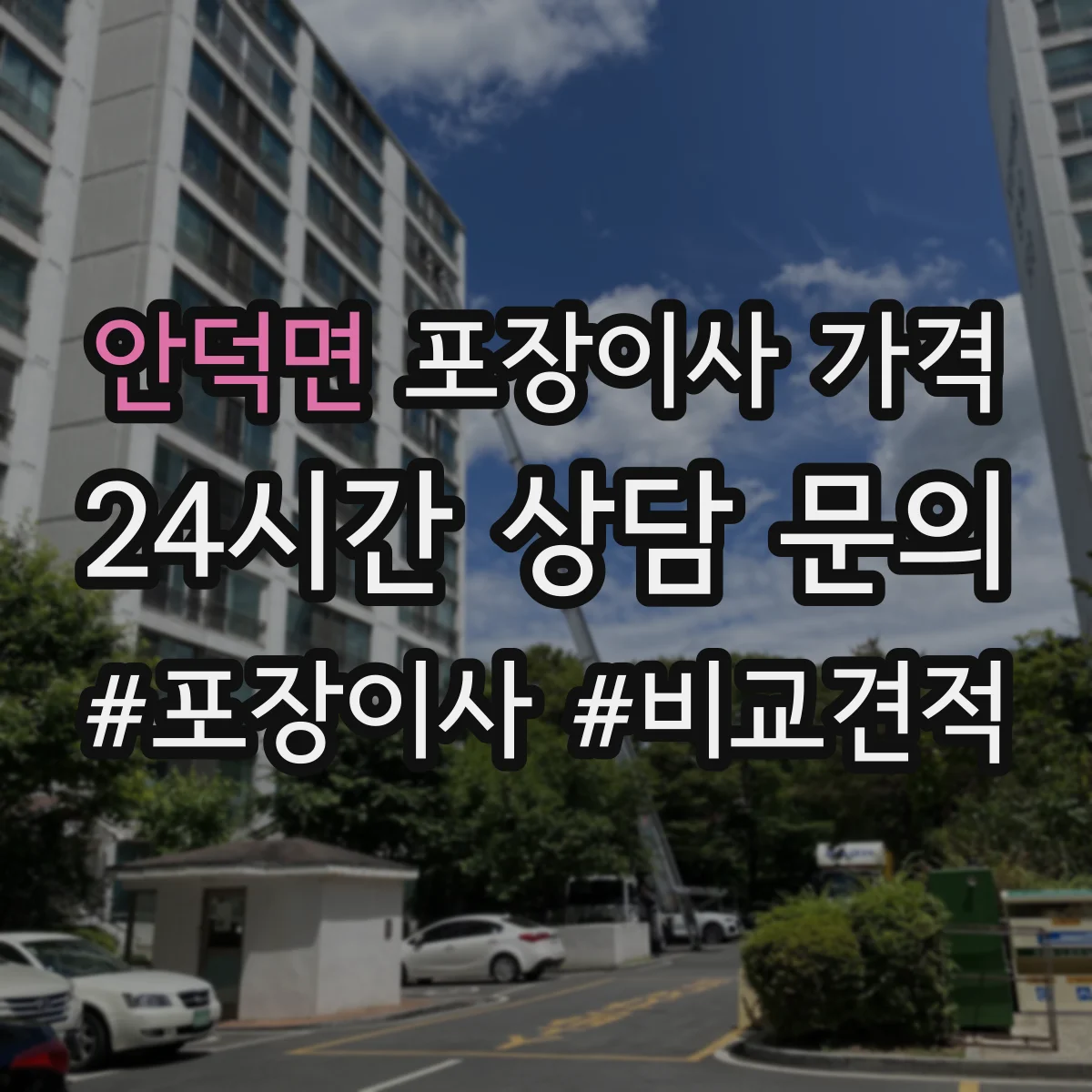 안덕면 포장이사 가격