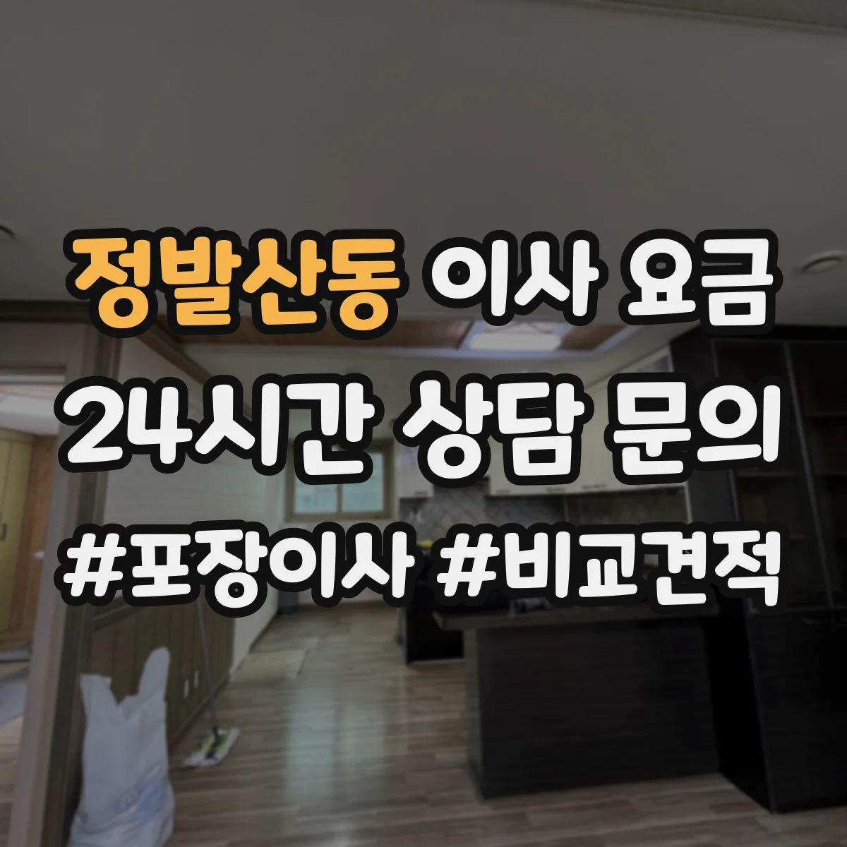 정발산동 이사 요금