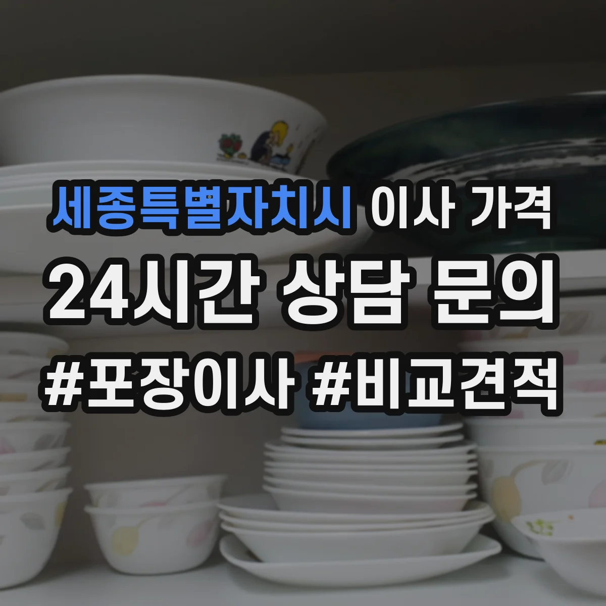 세종특별자치시 이사 가격